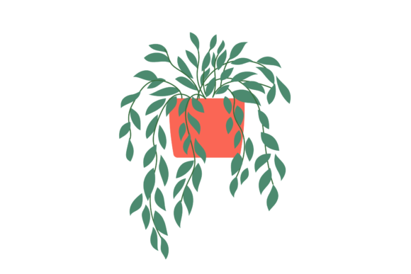 Download Houseplants Indoors - Indoor Collection