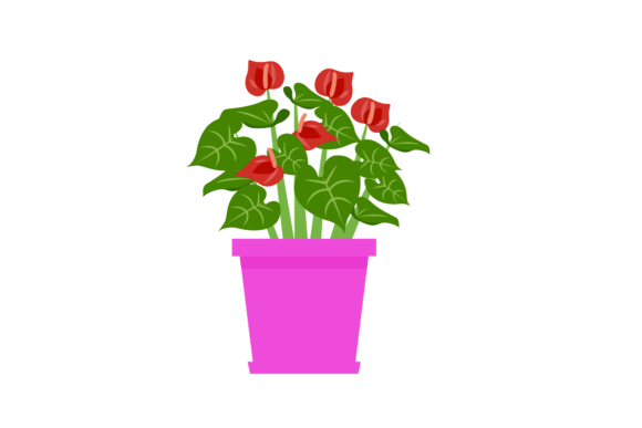 Download Houseplants Indoors - Indoor Collection