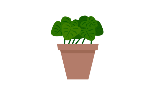 Download Houseplants Indoors Icon - Indoor Collection